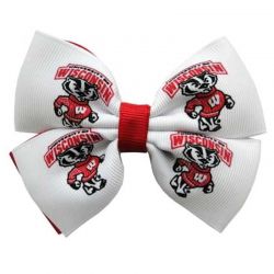 Badgers Two Tone Pinwheel Bow